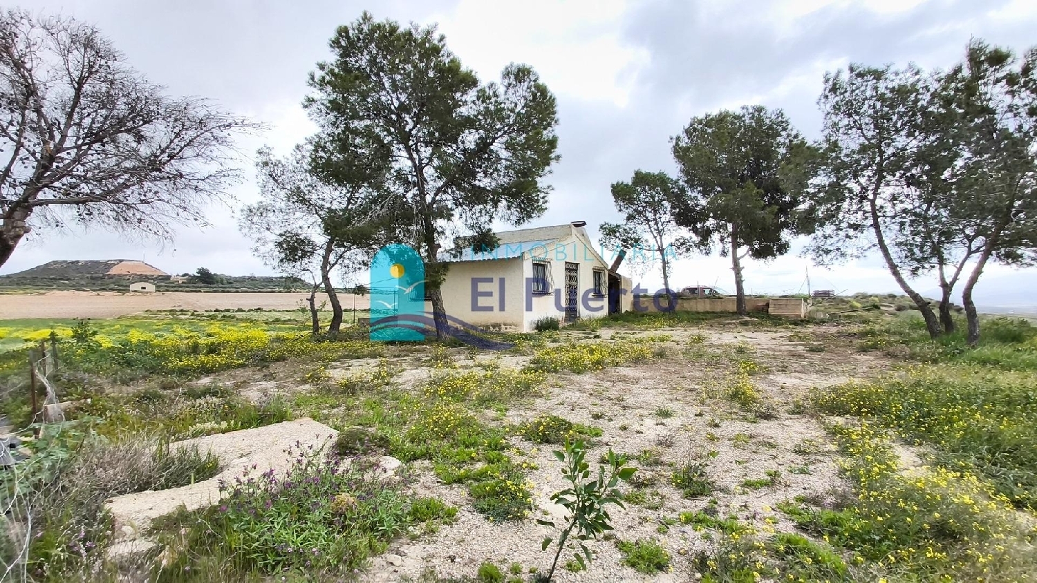  for sale house Zarzadilla De Totana Alto Guadalentín 2