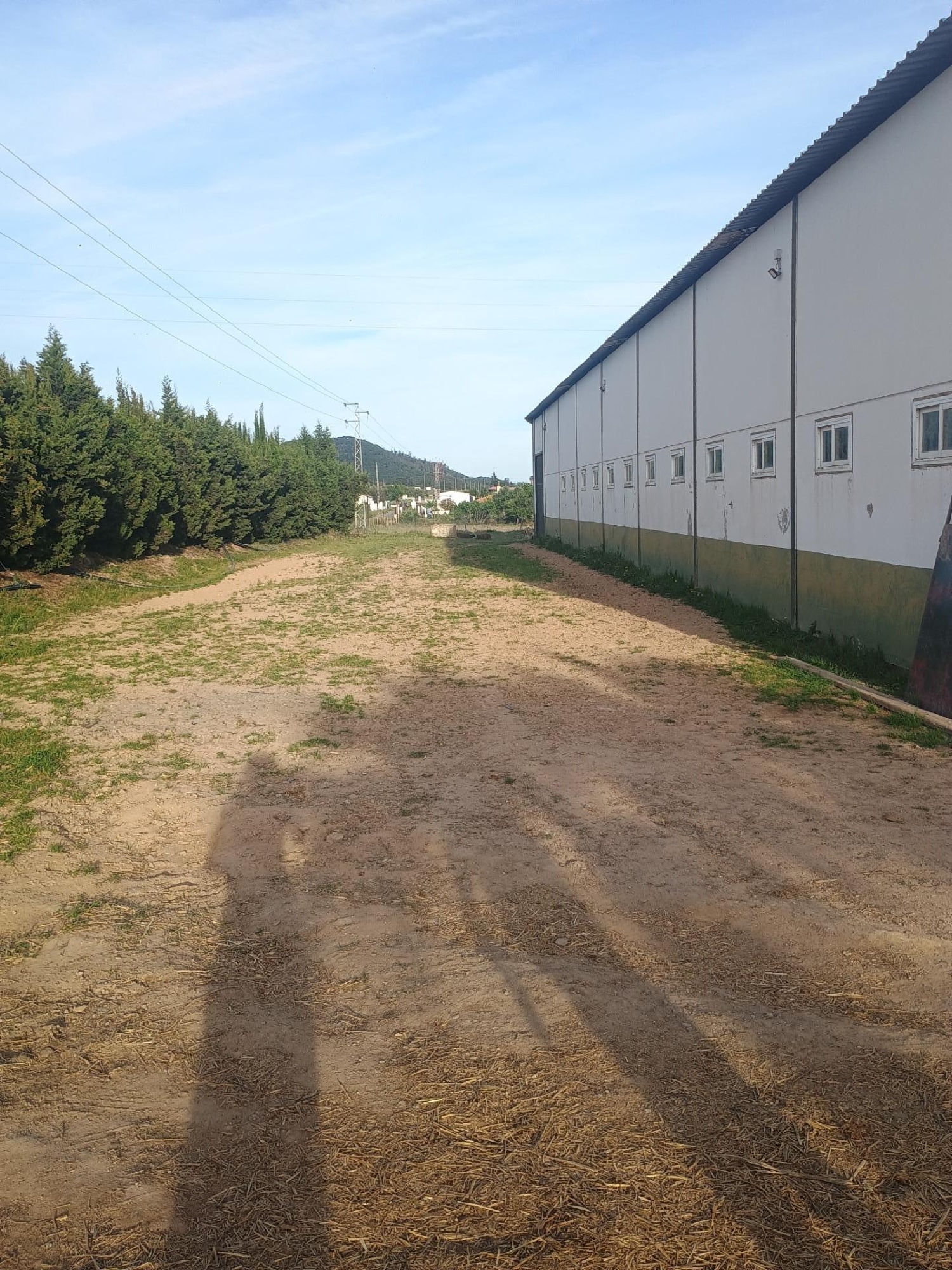  te koop herenhuis Villanueva De Los Castillejos Andévalo (El) 3