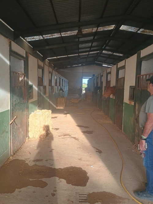 Villanueva De Los Castillejos Andévalo (El) herenhuis foto 6377410