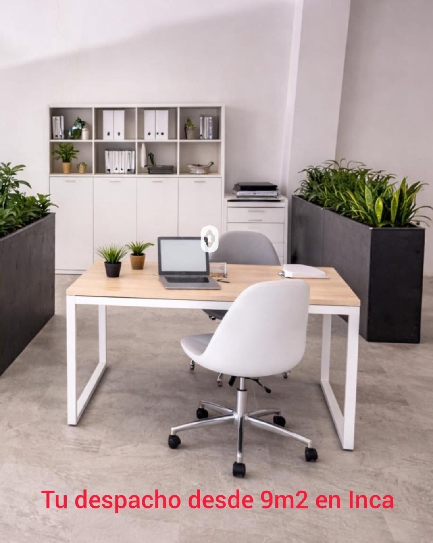  for sale office Inca Raiguer 3