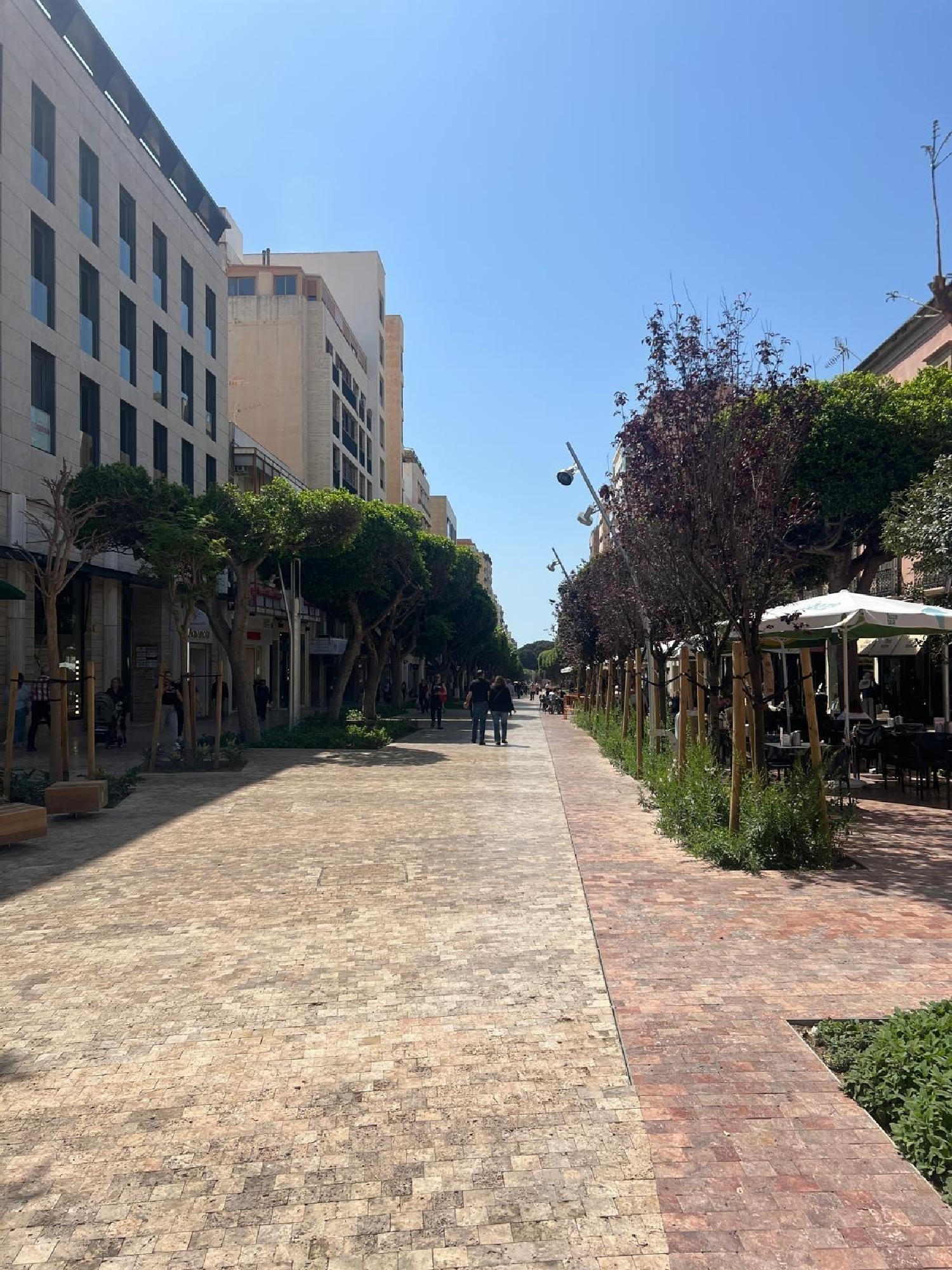  till salu kontor Palmeria Marina Alta 3