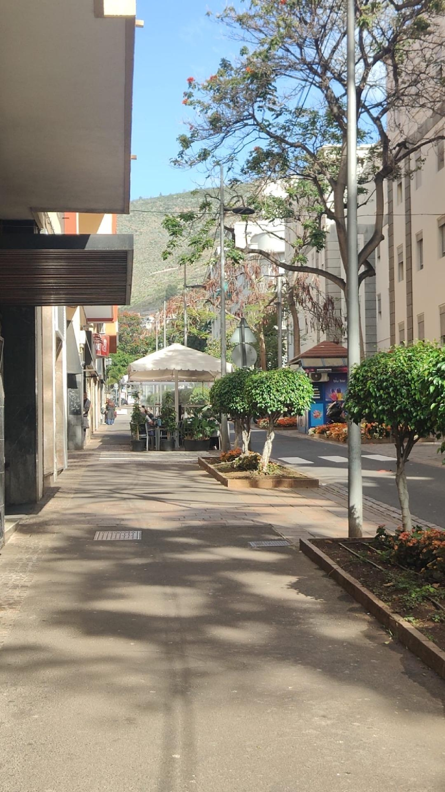  à vendre bureau Santa Cruz De Tenerife 38000 Zona Metropolitana 5