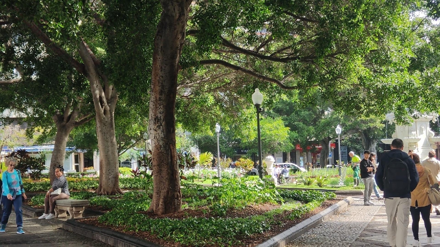  à vendre bureau Santa Cruz De Tenerife 38000 Zona Metropolitana 3