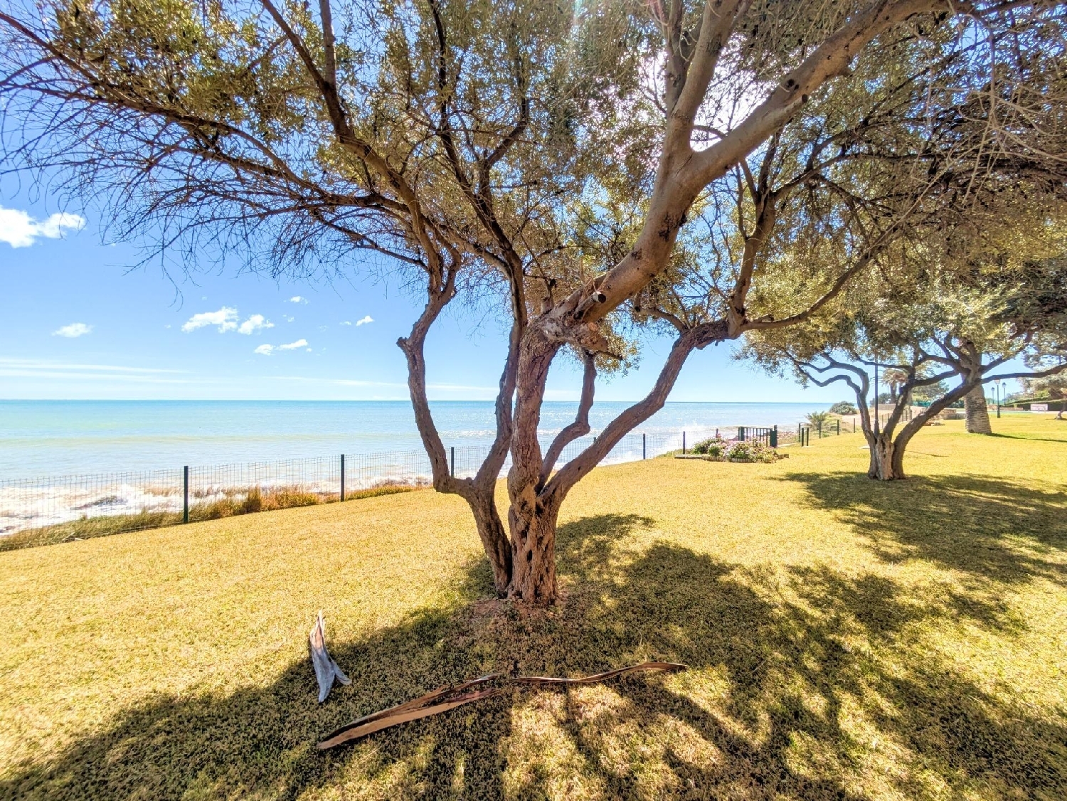  till salu takvåning Alcanar Montsià 4