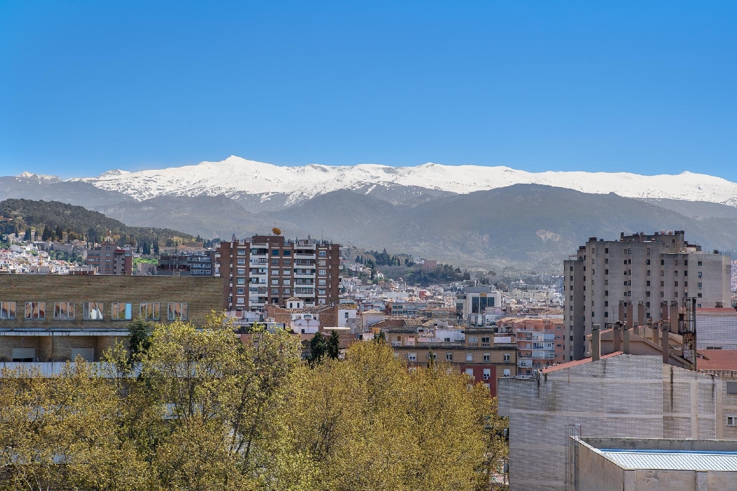  en venta ático Barrio De Granada Alacantí 3