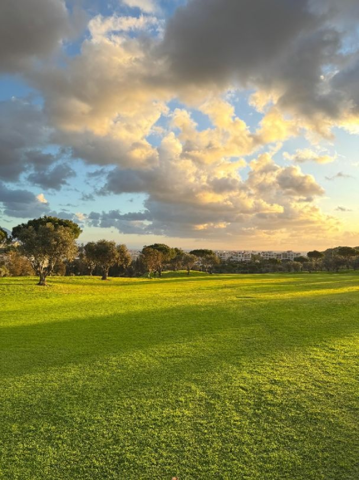  kaufen Penthouse Campo-Mijas Costa Del Sol Occidental 7