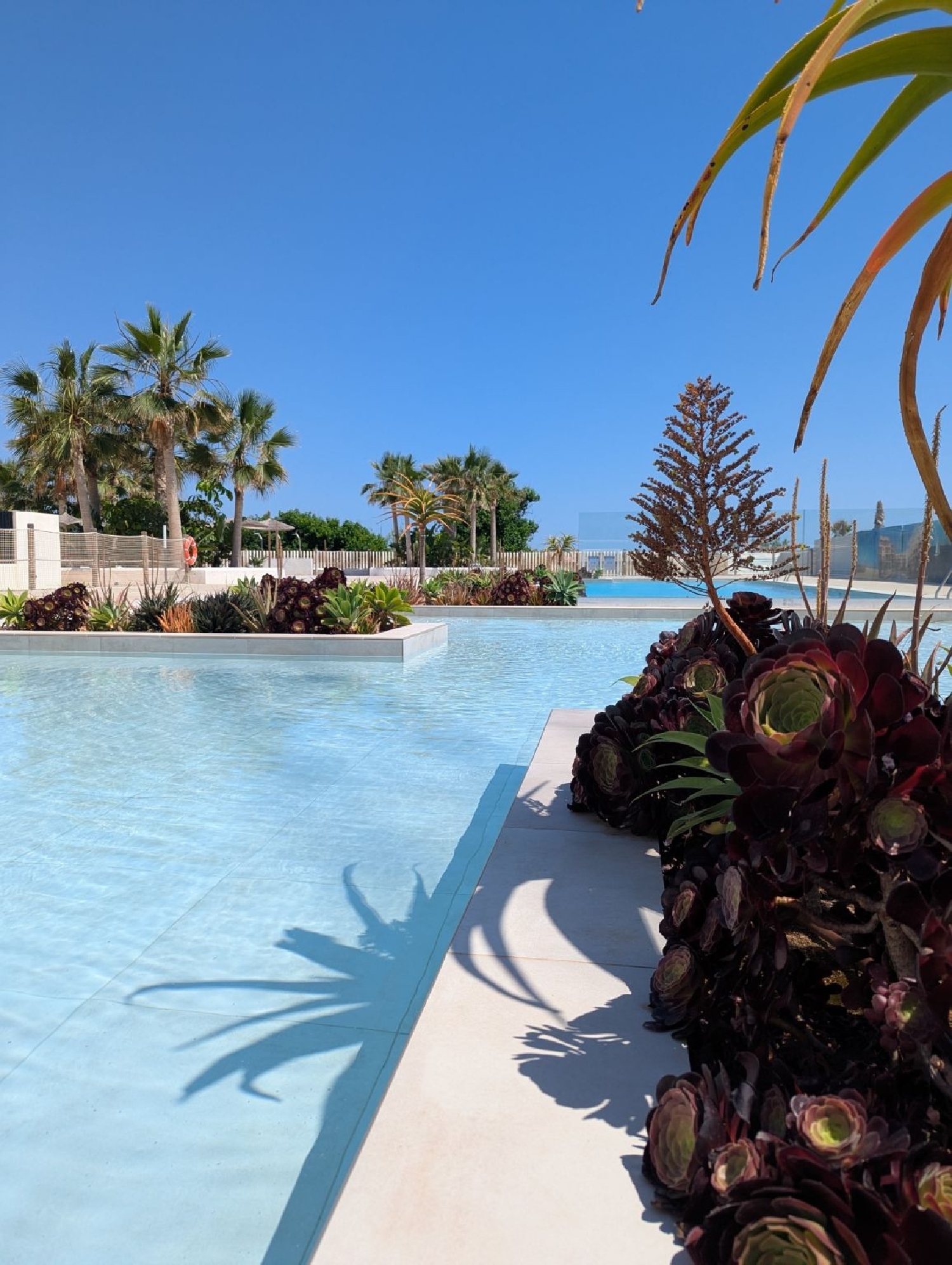  kaufen Penthouse Dénia Marina Alta 2