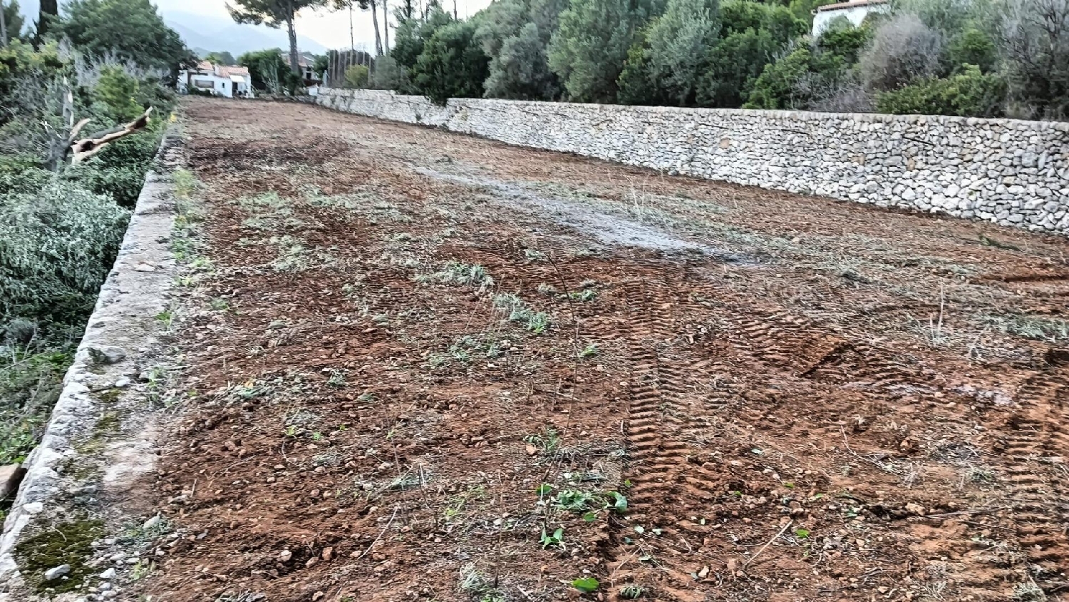 kaufen Grundstück Alcalalí Marina Alta 3