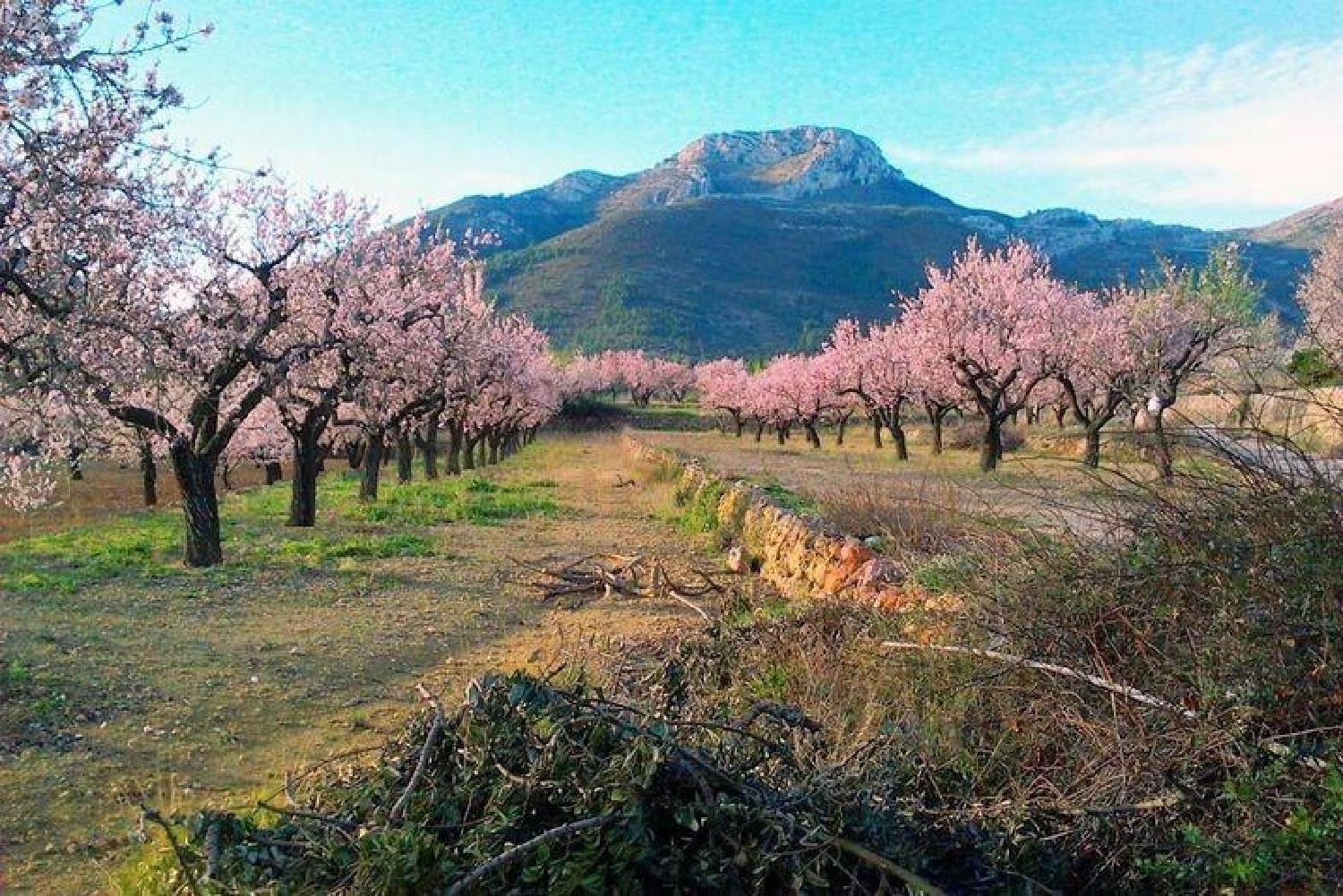 kaufen Grundstück Alcalalí Marina Alta 8