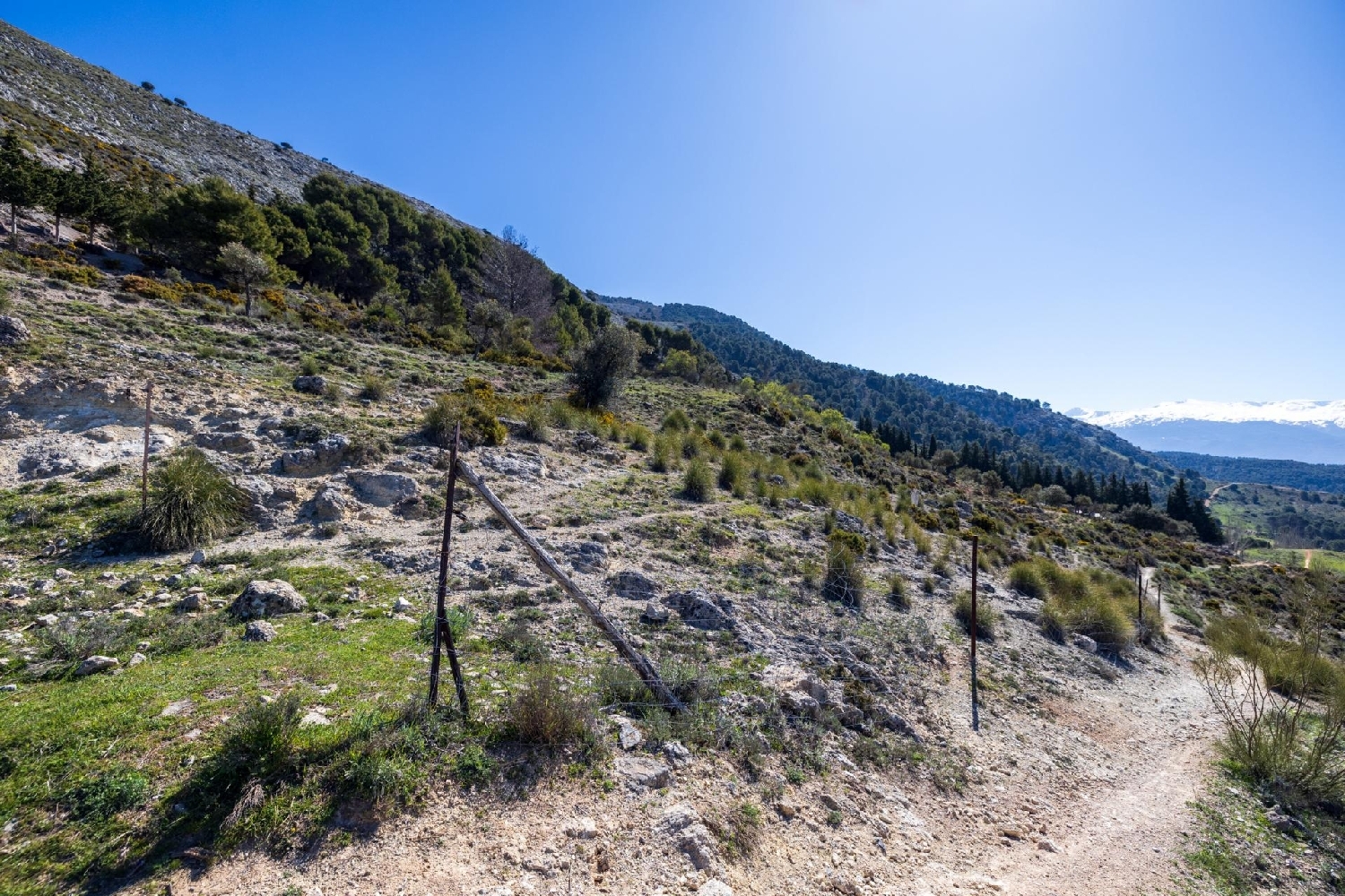  kaufen Grundstück Alfacar Vega De Granada 5