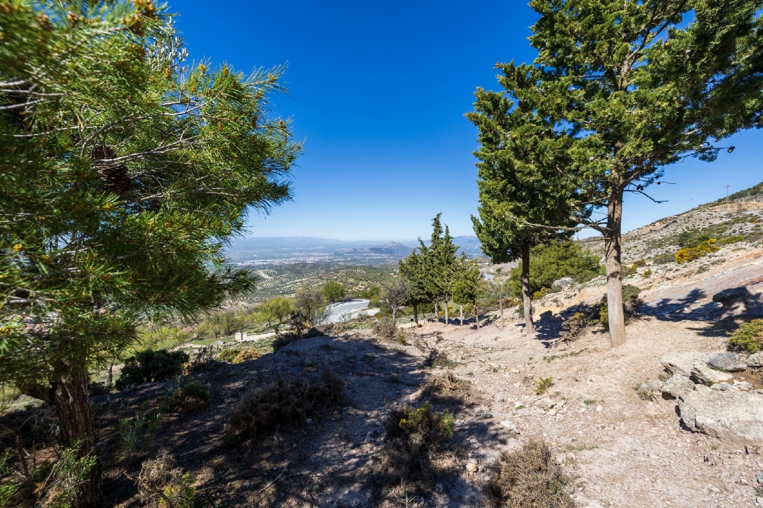  kaufen Grundstück Alfacar Vega De Granada 8
