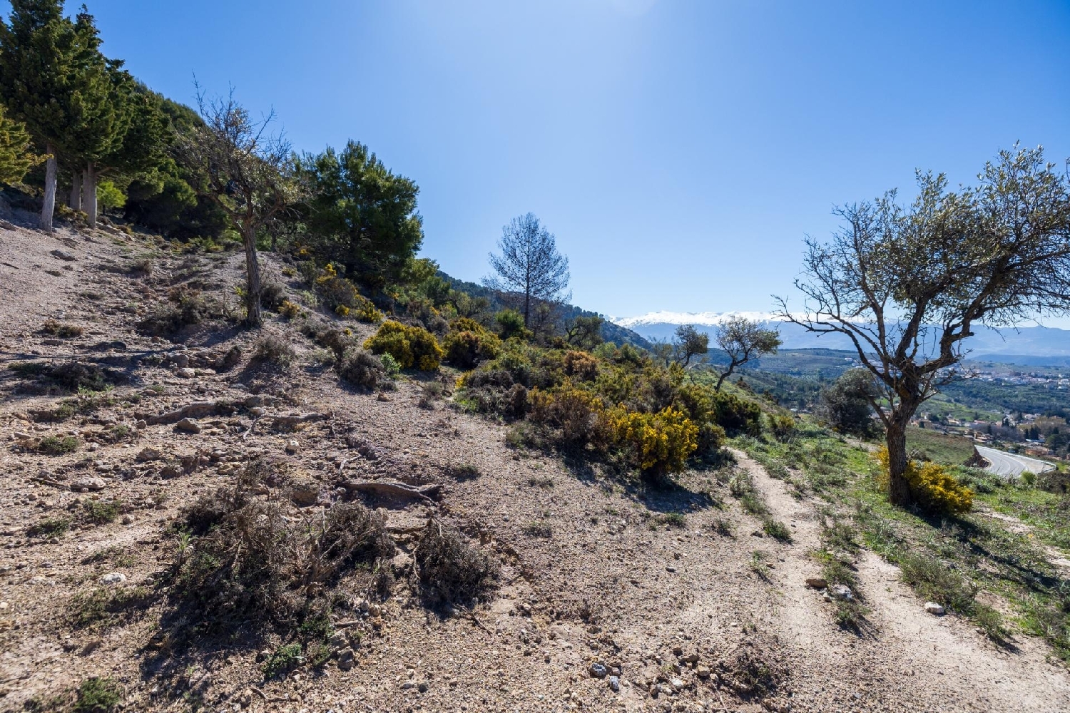  kaufen Grundstück Alfacar Vega De Granada 7