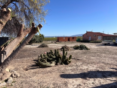 Alguazas Vega Media Del Segura tomt foto 6370571