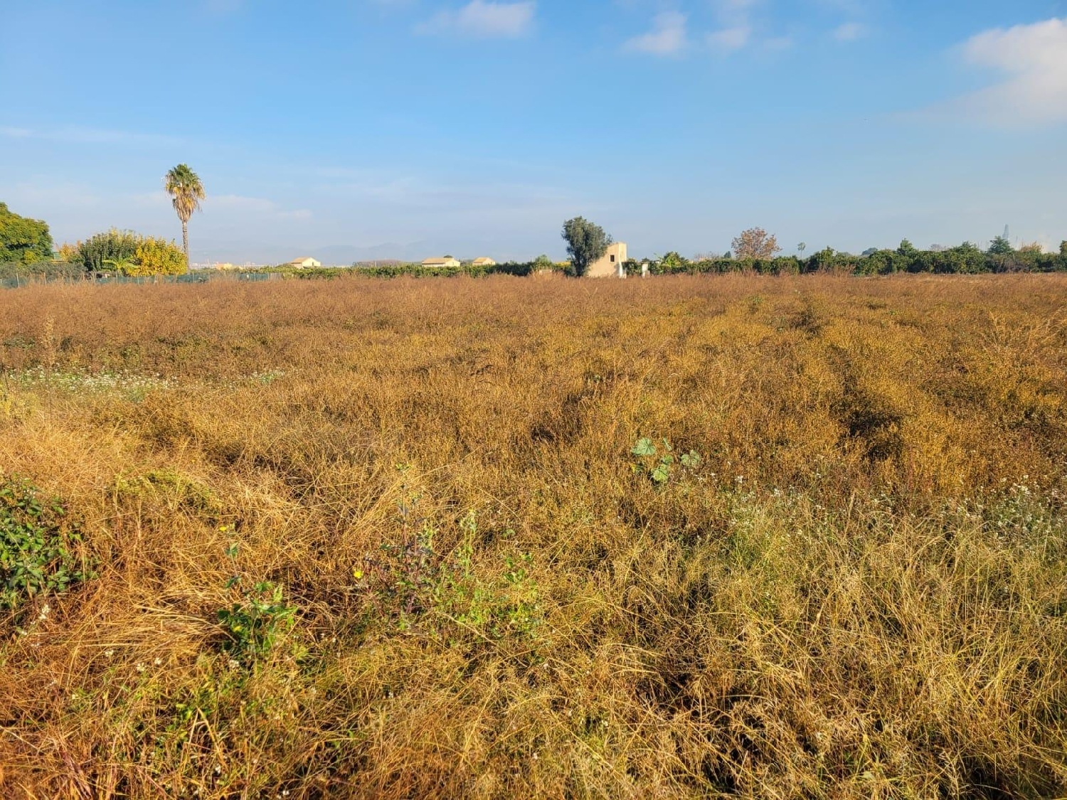  kaufen Grundstück Almazora Plana Alta 2