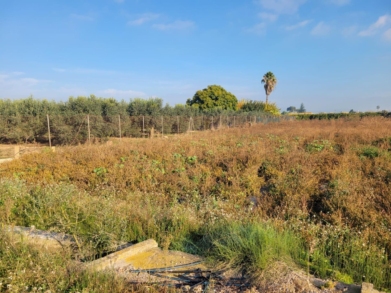  kaufen Grundstück Almazora Plana Alta 8