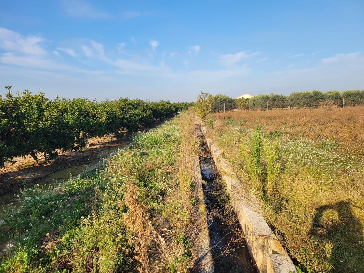  kaufen Grundstück Almazora Plana Alta 5