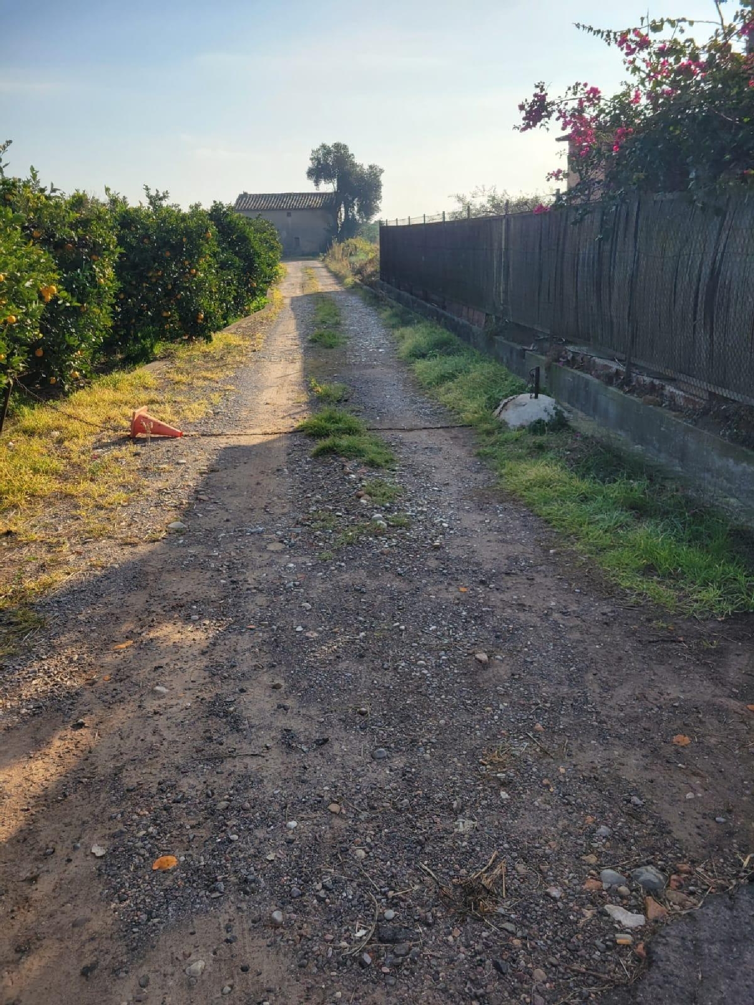  kaufen Grundstück Almazora Plana Alta 4