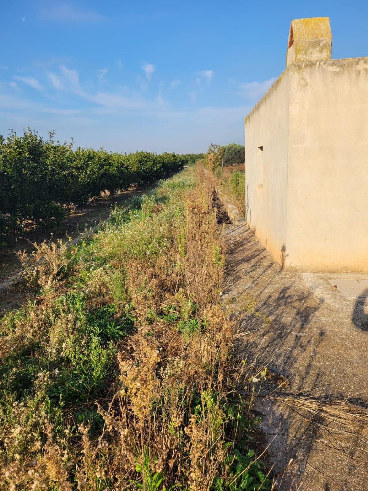  kaufen Grundstück Almazora Plana Alta 6