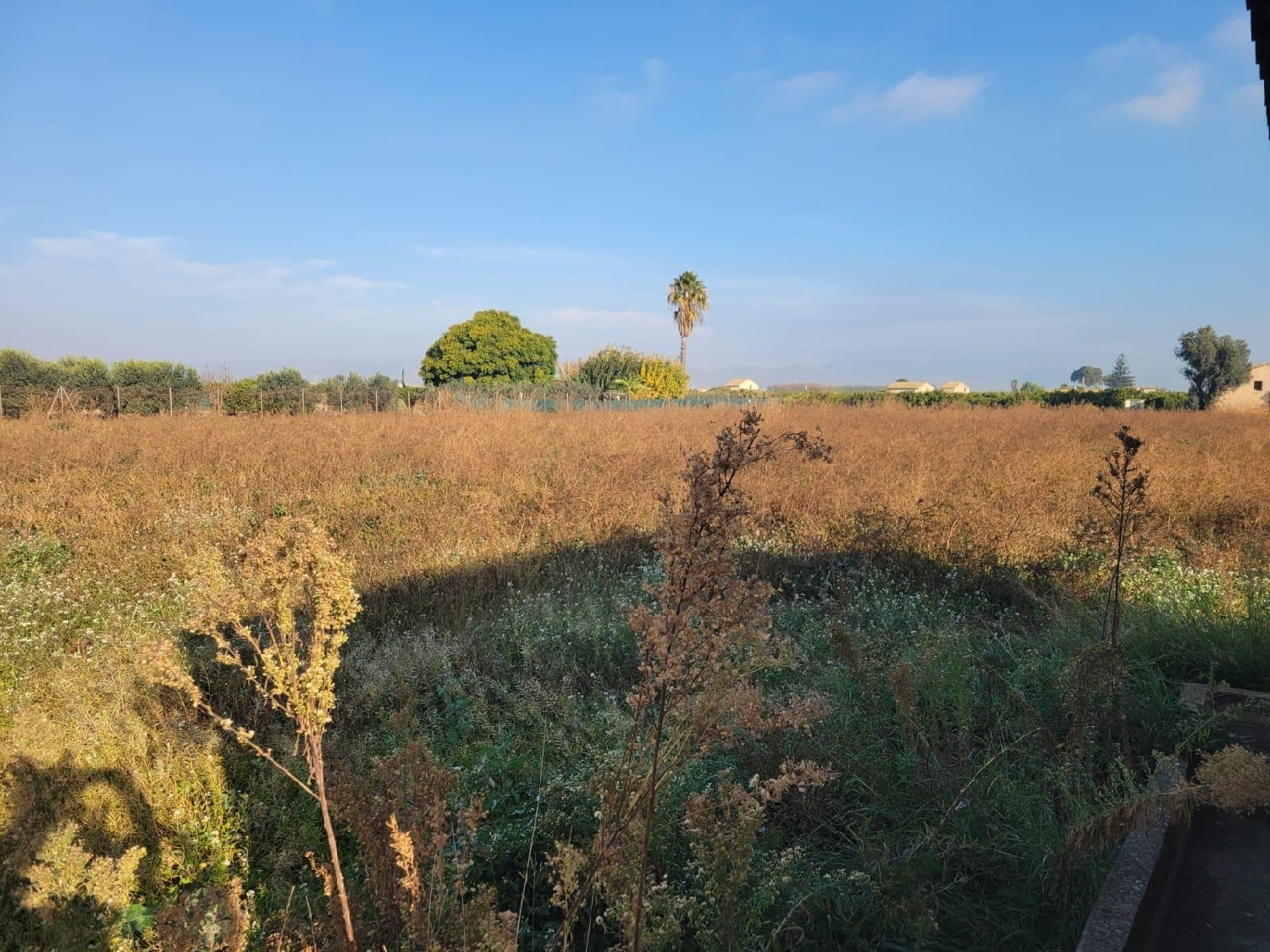  kaufen Grundstück Almazora Plana Alta 3