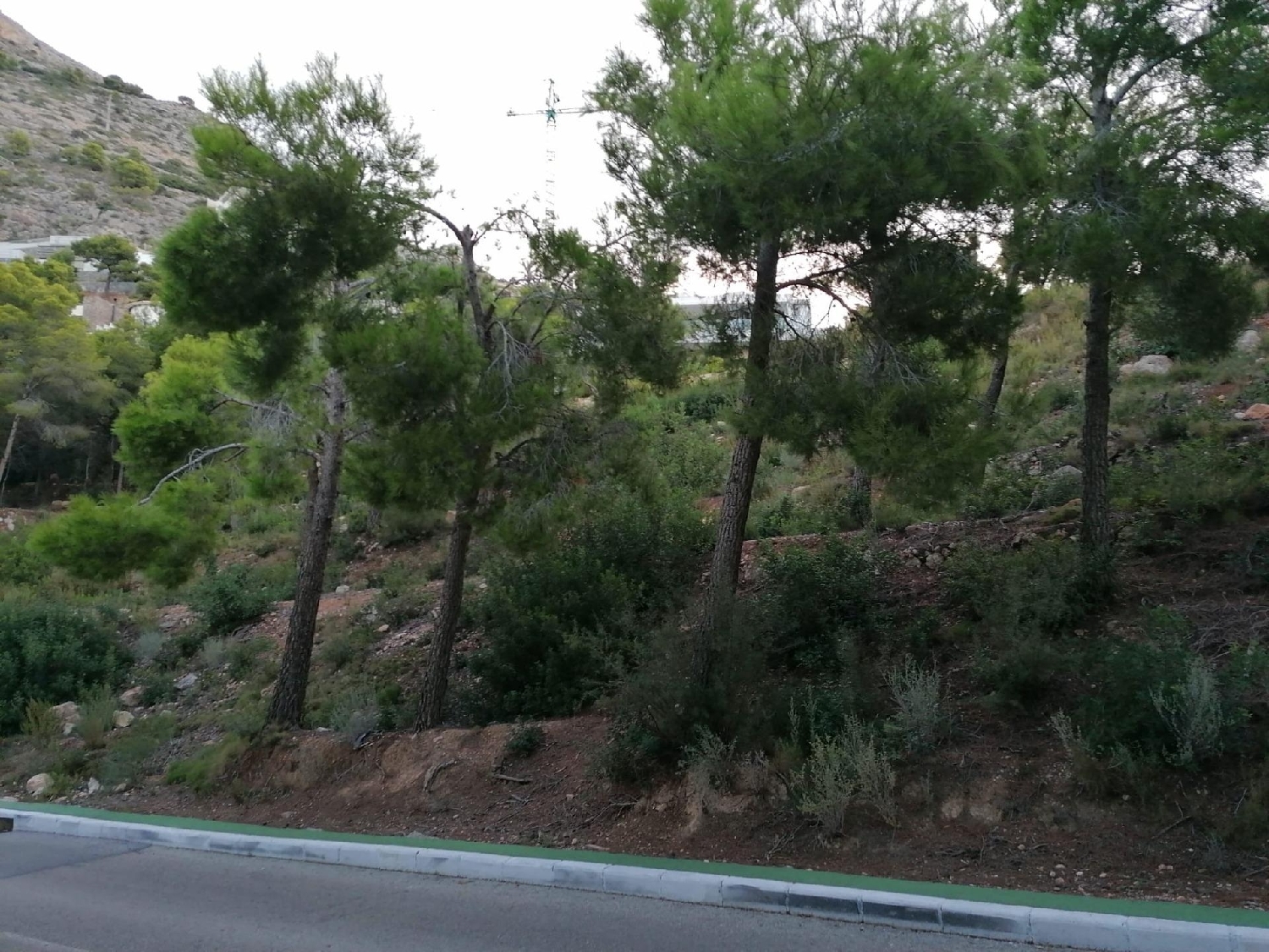 for sale plot Altea Marina Baixa 4