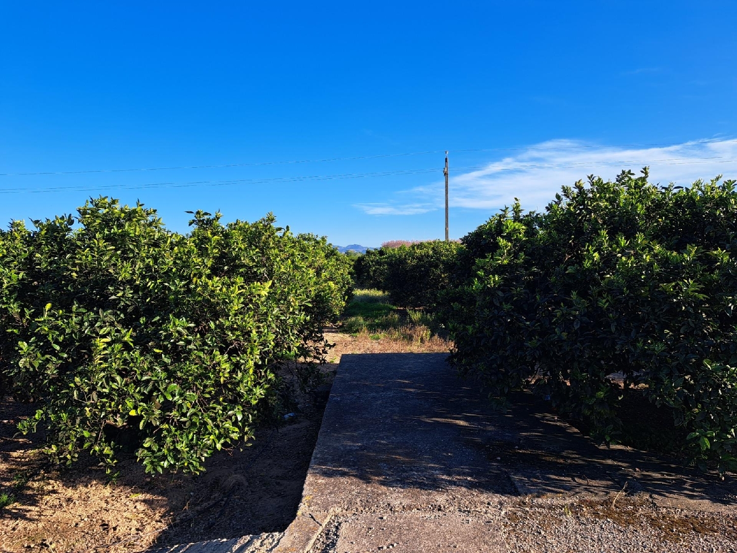 till salu tomt Alzira Ribera Alta 6