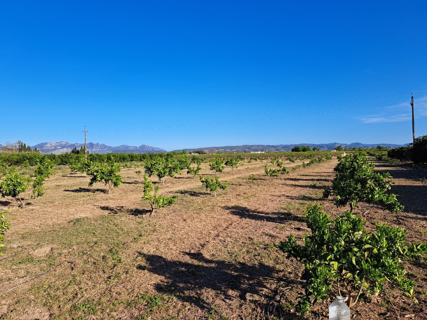 till salu tomt Alzira Ribera Alta 8