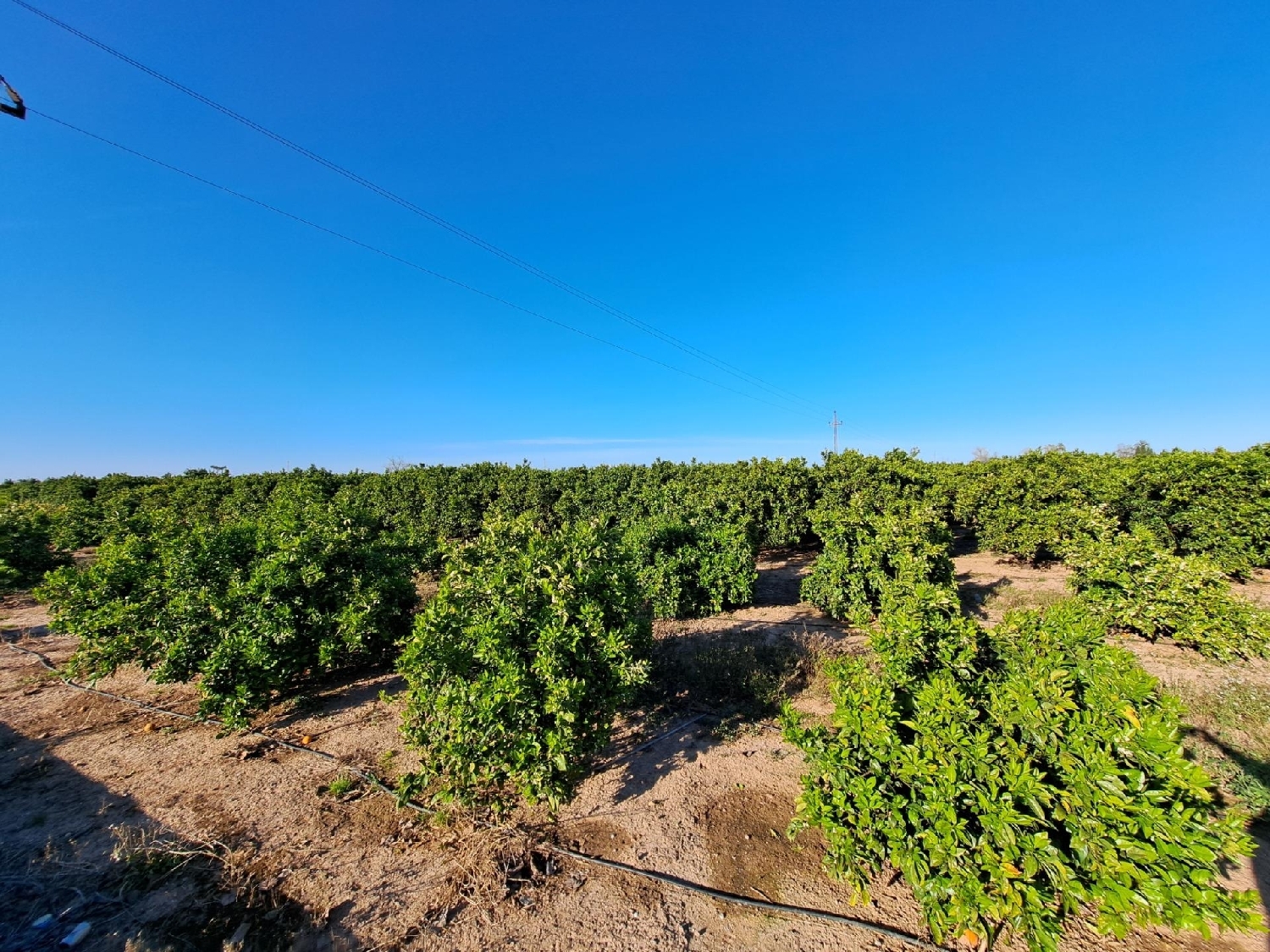 till salu tomt Alzira Ribera Alta 1