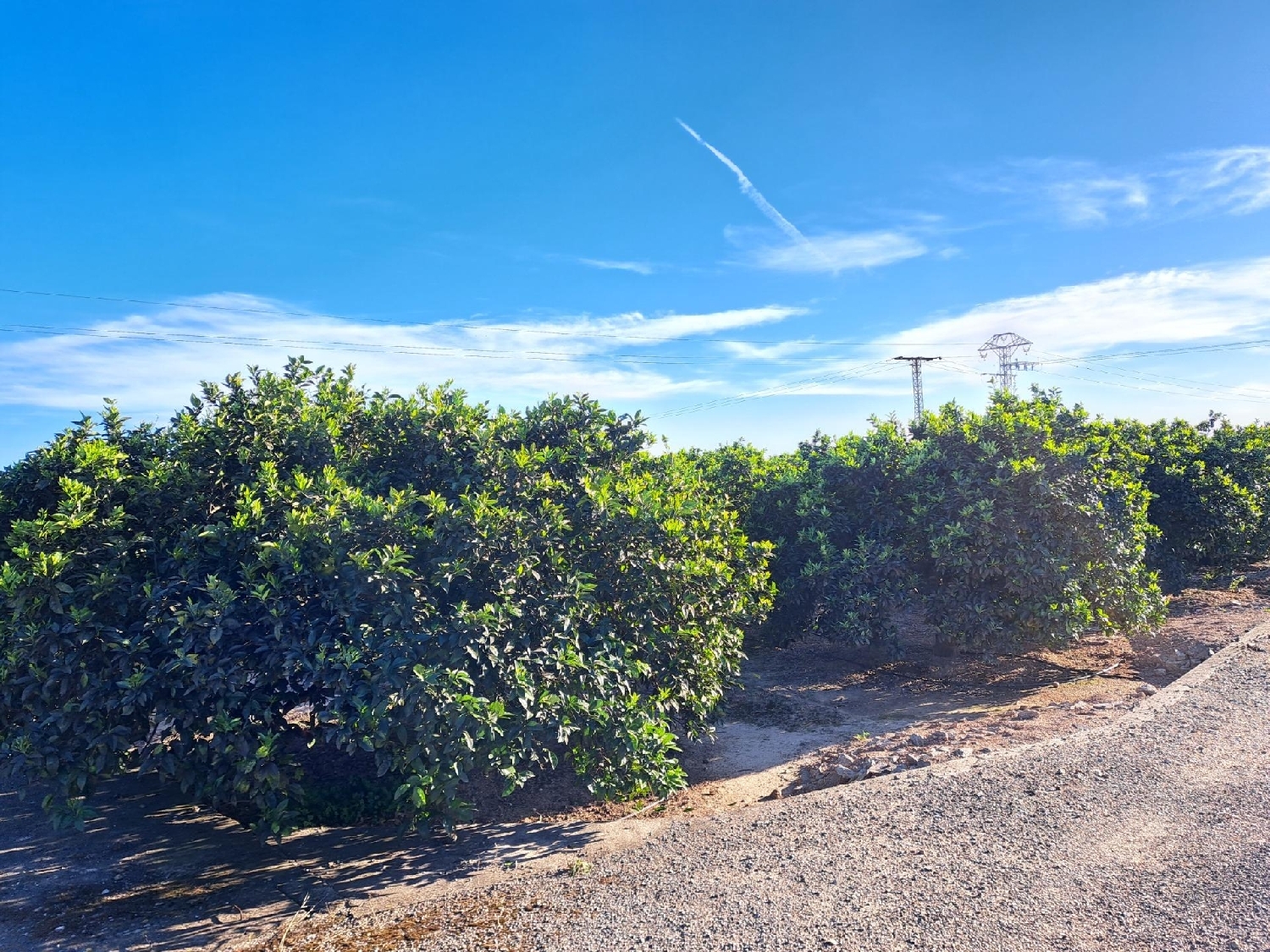 till salu tomt Alzira Ribera Alta 5