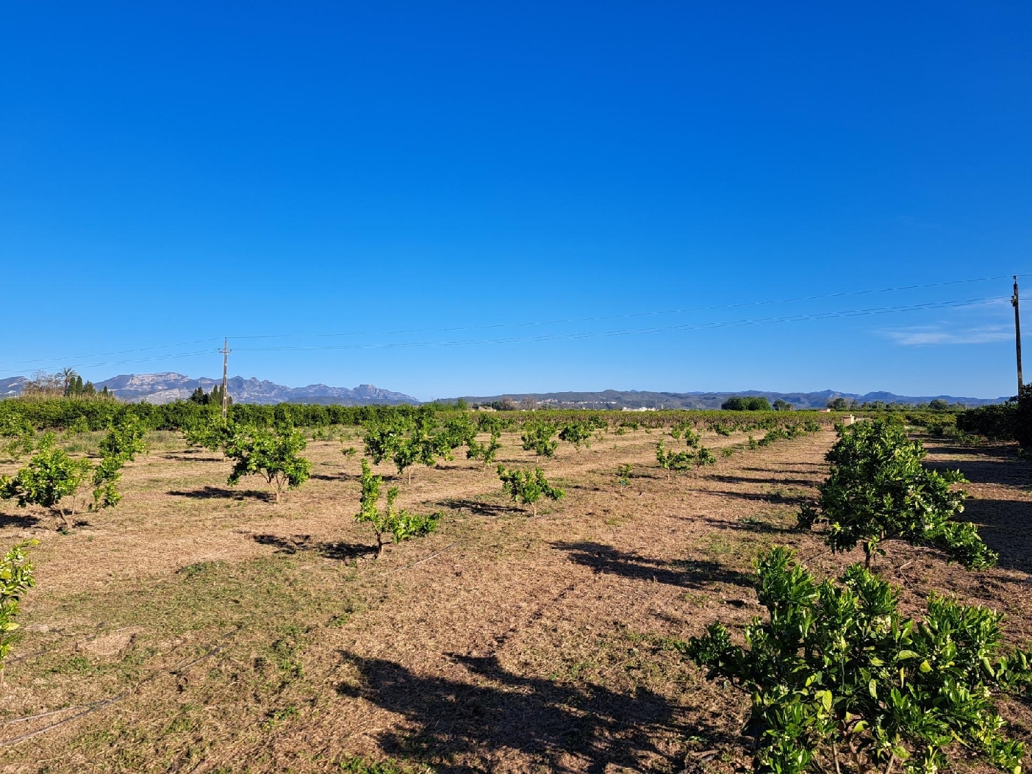 till salu tomt Alzira Ribera Alta 7