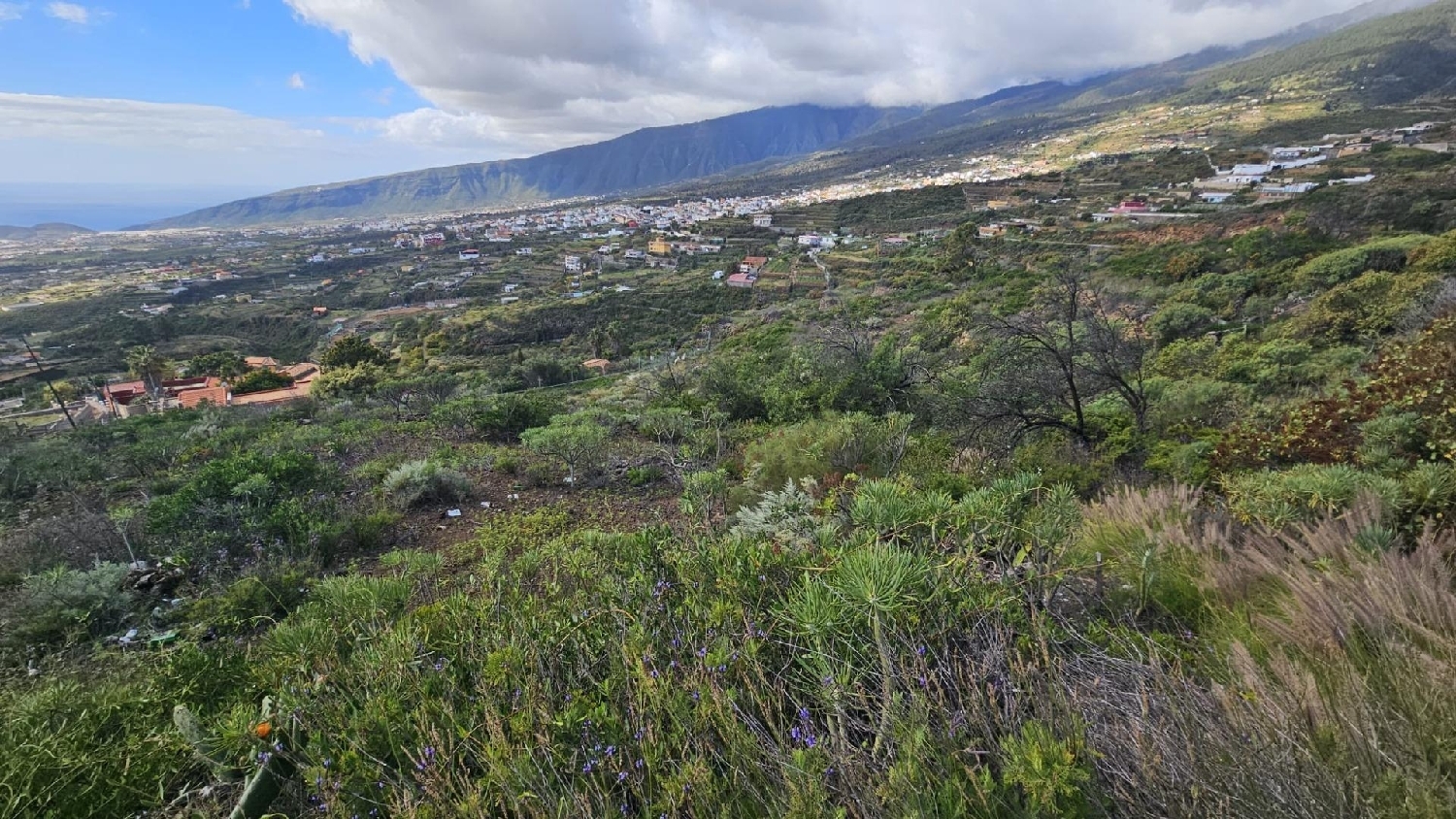  till salu tomt Arafo Zona Sureste 7