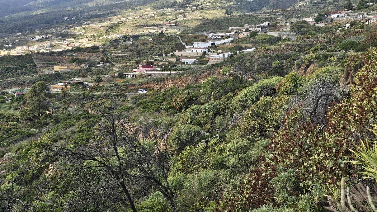  till salu tomt Arafo Zona Sureste 5