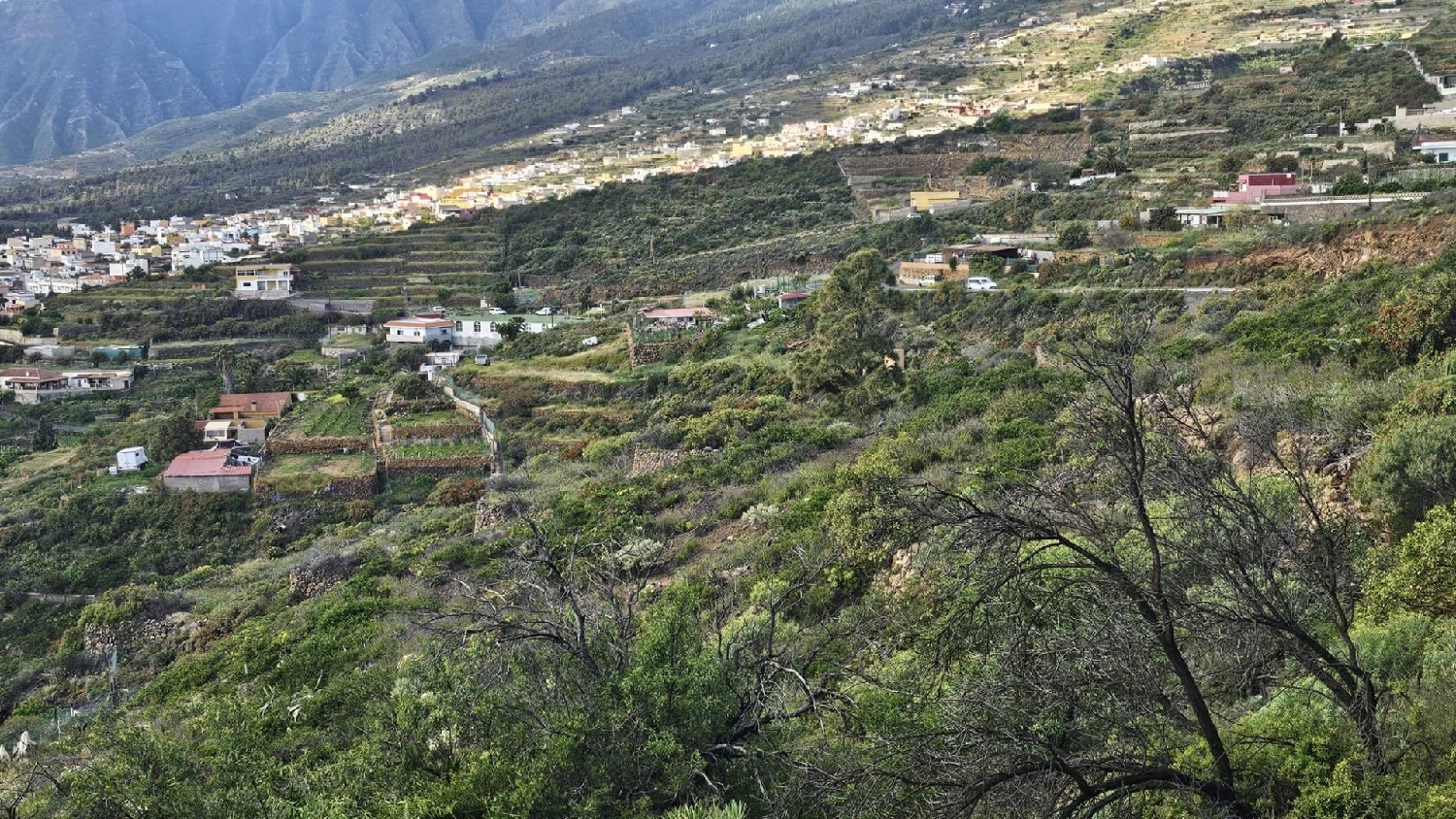  till salu tomt Arafo Zona Sureste 6