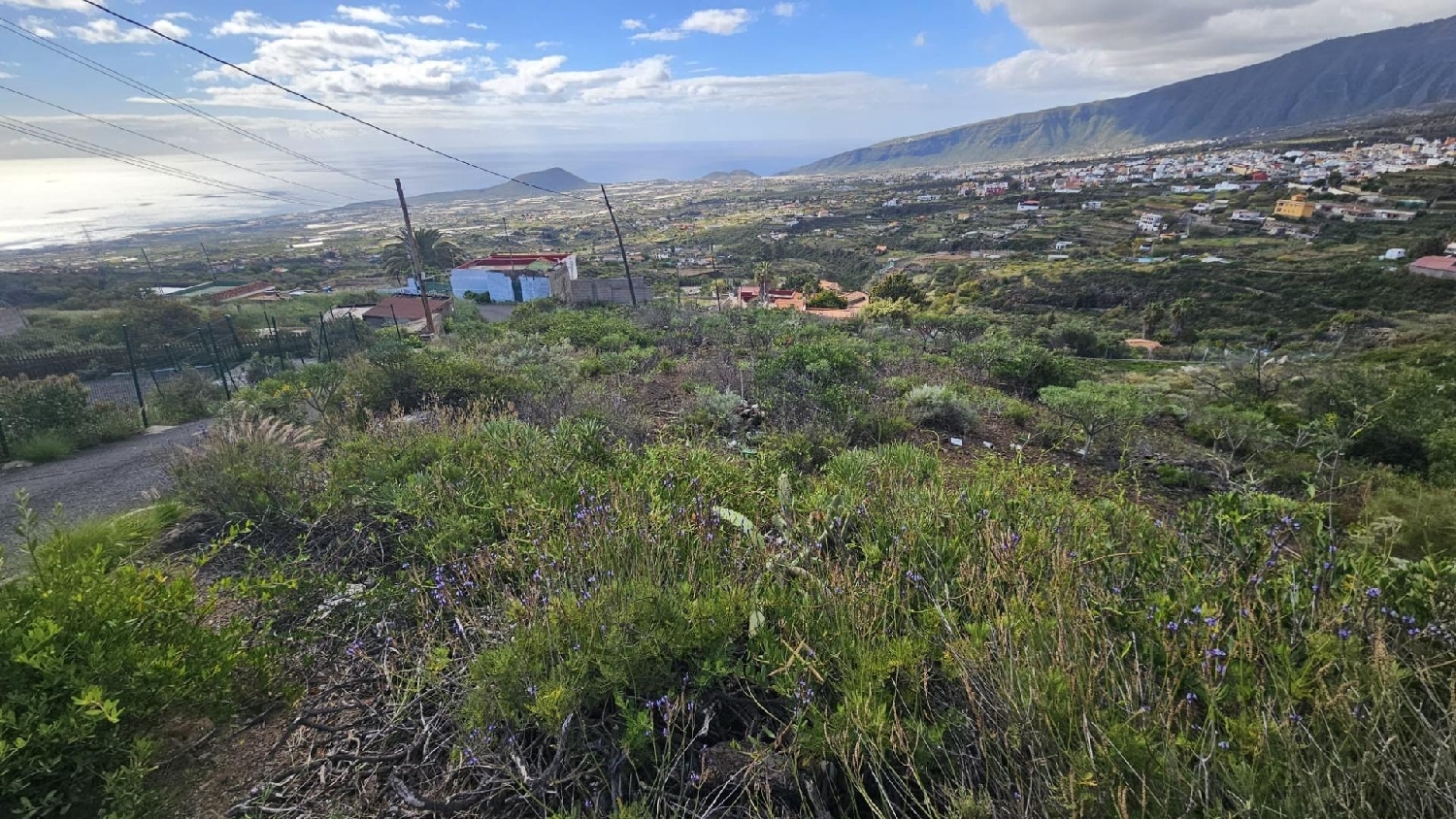  till salu tomt Arafo Zona Sureste 8