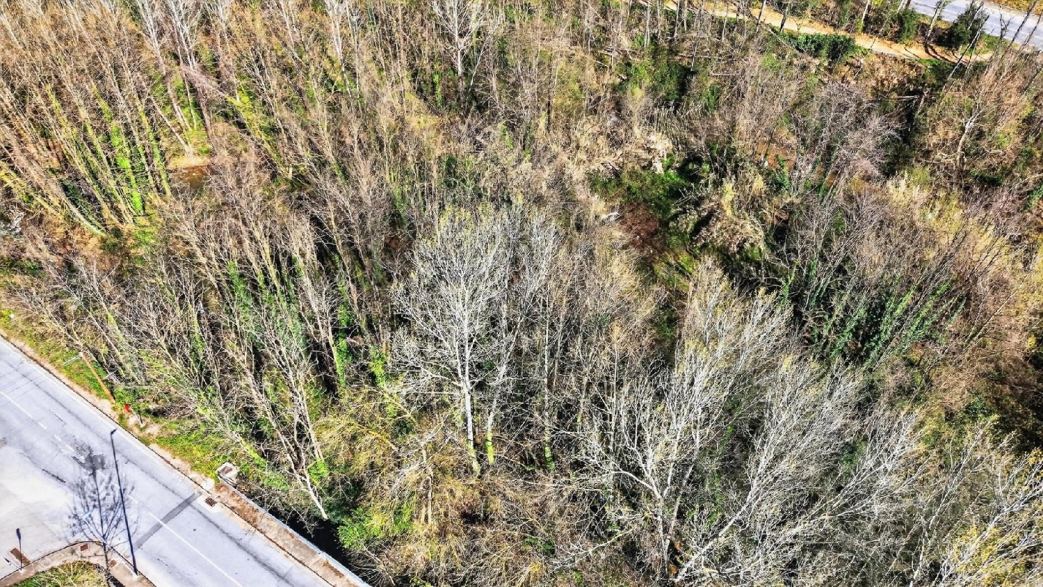  for sale plot Arbúcies Selva 3