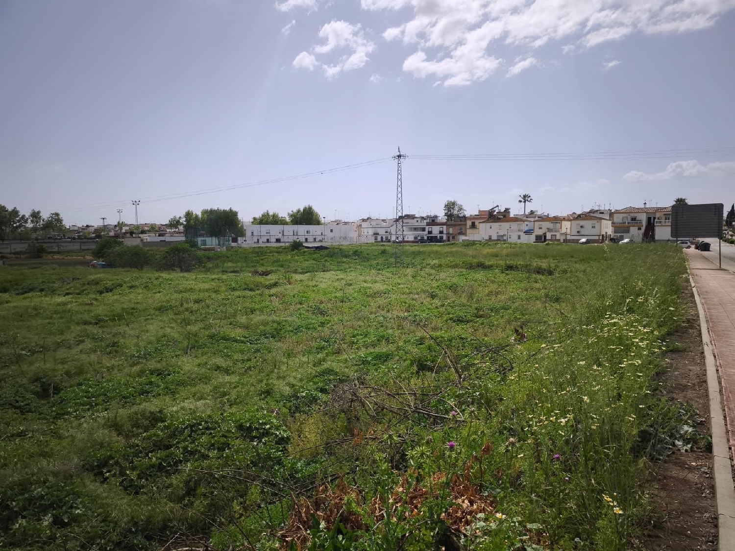  till salu tomt Arcos De La Frontera Sierra De Cádiz 7