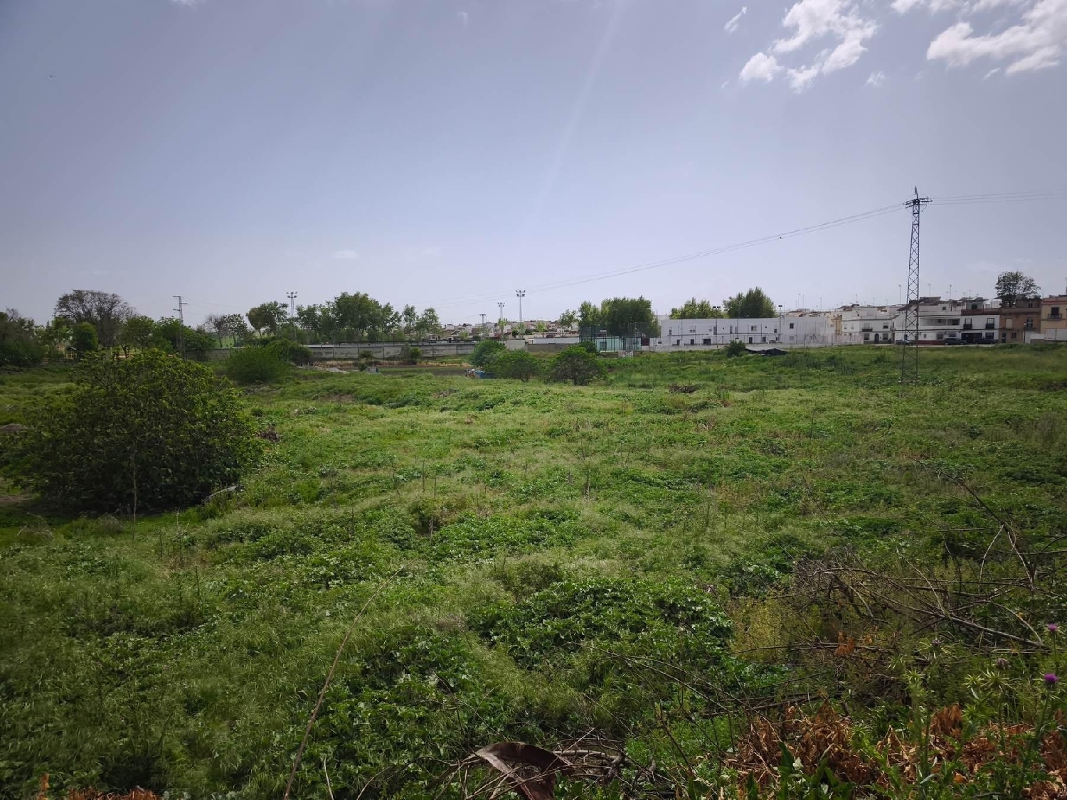  till salu tomt Arcos De La Frontera Sierra De Cádiz 8