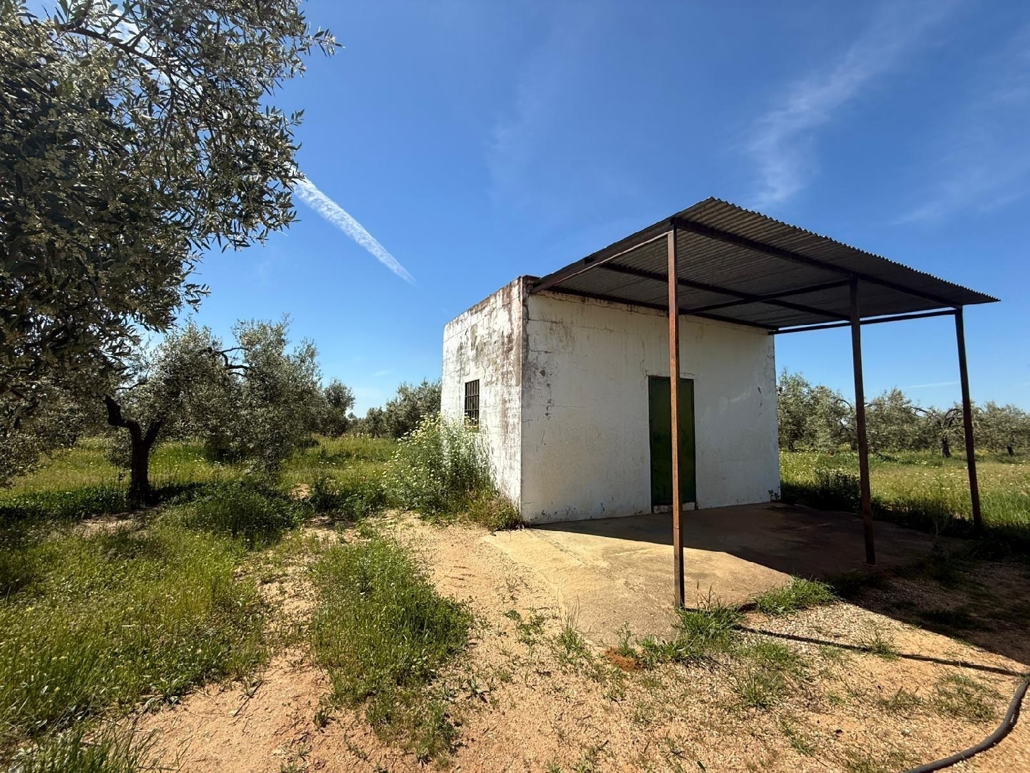  kaufen Grundstück Aznalcázar Aljarafe 3