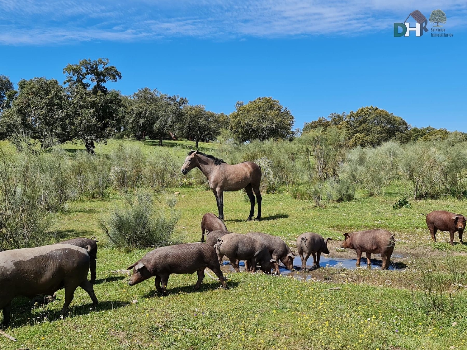  en venta terreno Badajoz Casco Antiguo-Centro Badajoz 2