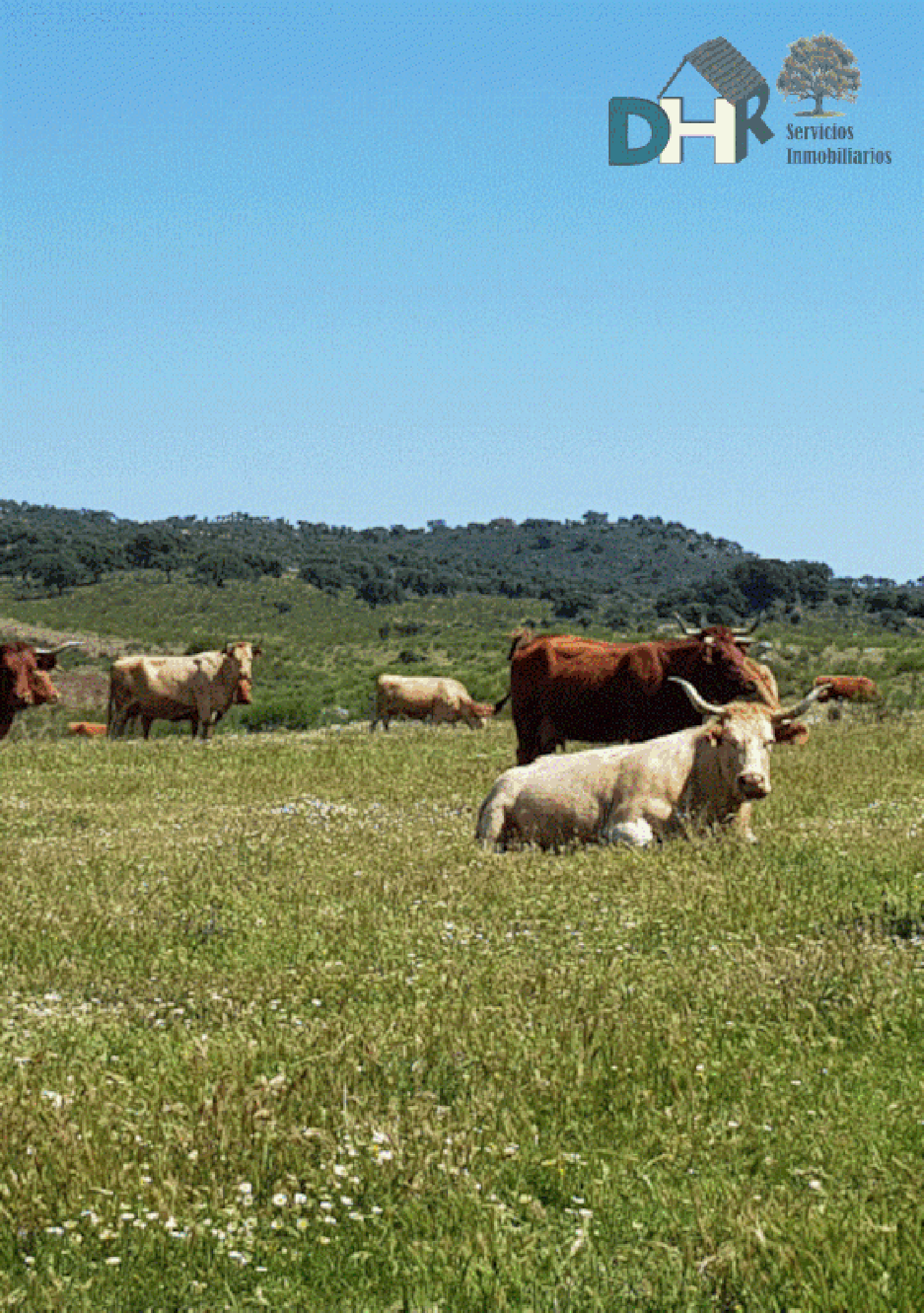  en venta terreno Badajoz Casco Antiguo-Centro Badajoz 7
