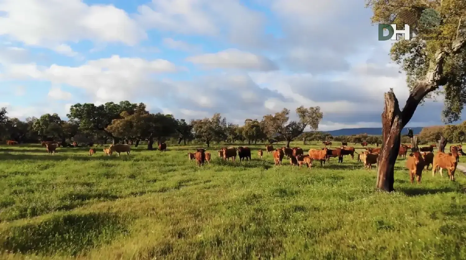  en venta terreno Badajoz Casco Antiguo-Centro Badajoz 1