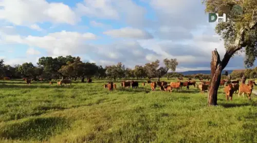 Badajoz Casco Antiguo-Centro Badajoz terreno foto 6368502