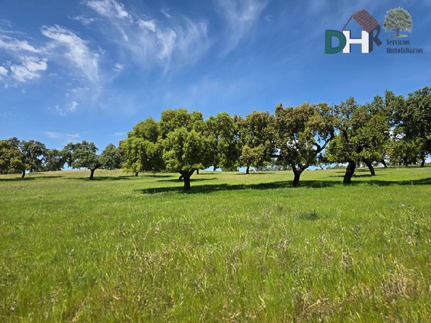  for sale plot Badajoz Casco Antiguo-Centro Badajoz 5
