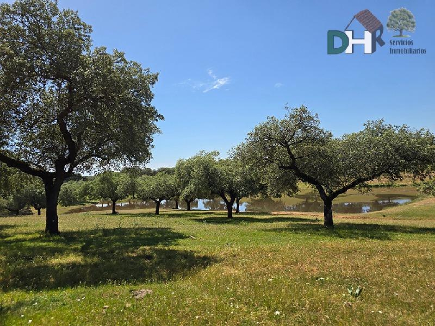  for sale plot Badajoz Casco Antiguo-Centro Badajoz 4