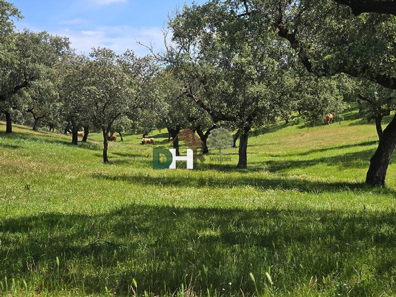  for sale plot Badajoz Casco Antiguo-Centro Badajoz 3