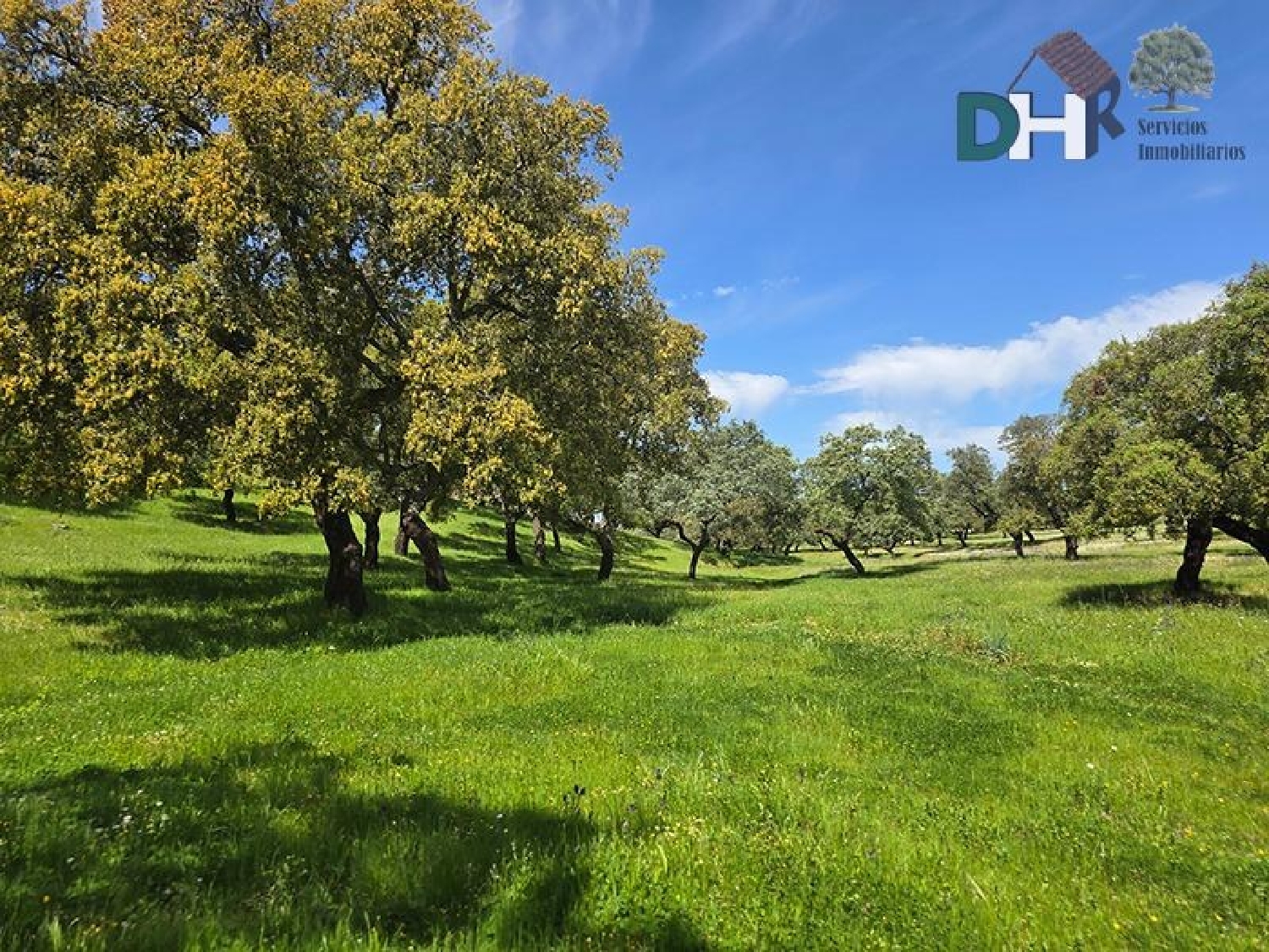  for sale plot Badajoz Casco Antiguo-Centro Badajoz 2