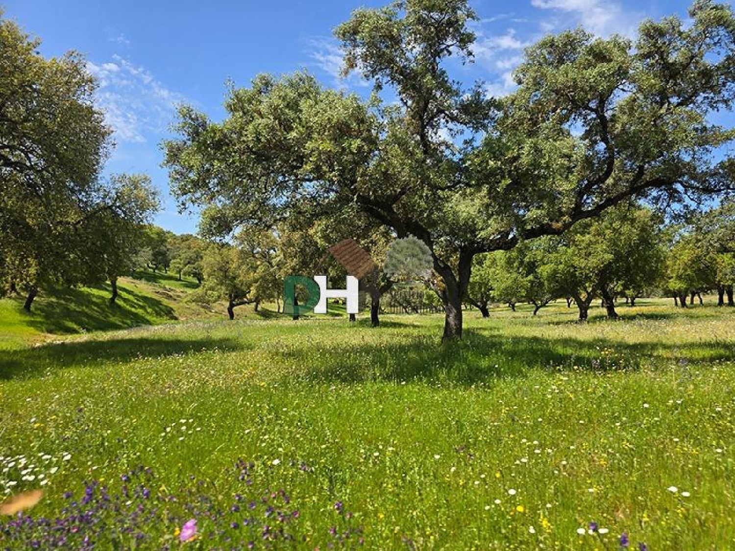  for sale plot Badajoz Casco Antiguo-Centro Badajoz 1