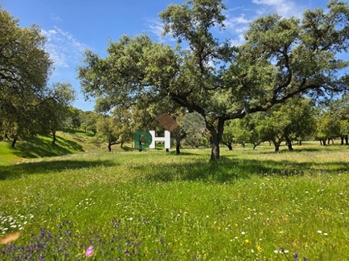 Badajoz Casco Antiguo-Centro Badajoz plot foto 6375842
