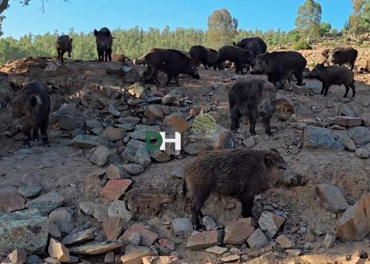  for sale plot Badajoz Casco Antiguo-Centro Badajoz 7