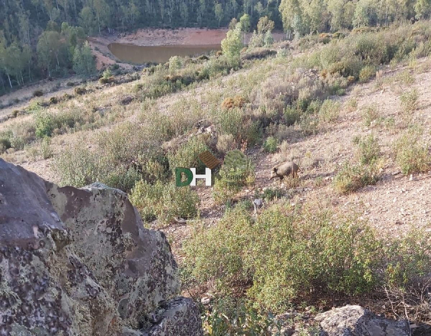  for sale plot Badajoz Casco Antiguo-Centro Badajoz 4