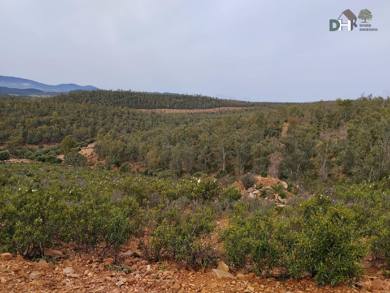  for sale plot Badajoz Casco Antiguo-Centro Badajoz 8